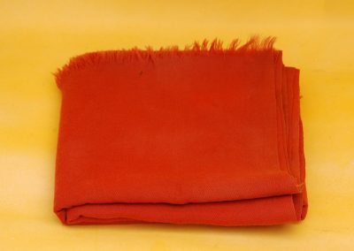 1988 | The Ochre Color Robe of Initiation Given by Aruṇagiri Yogīśvara